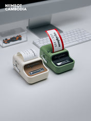 NIIMBOT B21 PRO