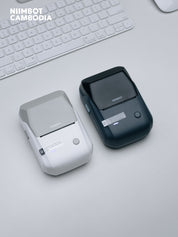 NIIMBOT B1